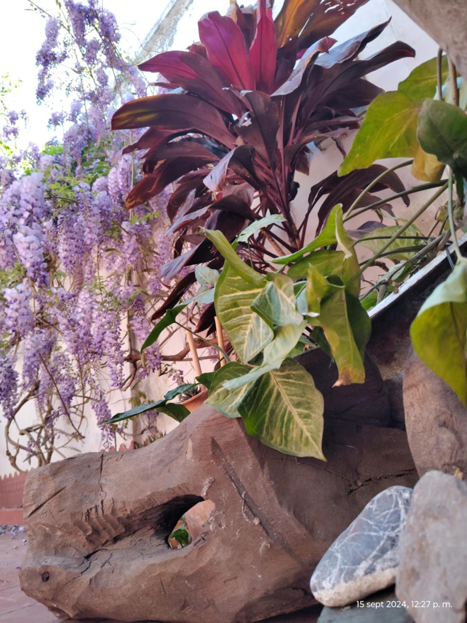 Casa Kuyay Villa San Salvador de Jujuy Dış mekan fotoğraf